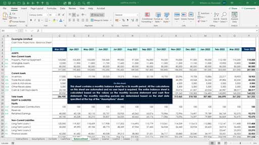 Cash Flow Templates - Excel Skills UK